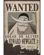 Μίνι αφίσα  GB eye Animation: One Piece - Wanted Whitebeard -1