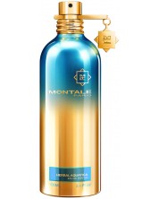 Montale Eau de Parfum Herbal Aquatica, 100 ml -1