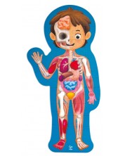 Εκπαιδευτικό παζλ Hape -Το ανθρώπινο σώμα, 60 κομμάτια  -1