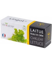 Σπόρια   Veritable - Lingot,Σαλάτα φύλλα βελανιδιάς, μη ΓΤΟ -1