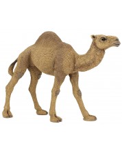Φιγούρα Papo Wild Animal Kingdom – Καμήλα  -1