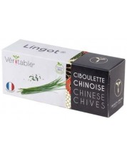 Σπόρια  Veritable - Lingot, Κινεζικό κρεμμύδι, μη ΓΤΟ -1