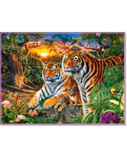 Παζλ Castorland από 2000 κομμάτια - Η οικογένεια τίγρης