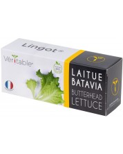 Σπόρια   Veritable - Lingot,Μαρούλι, μη ΓΤΟ -1