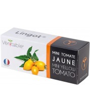 Σπόρια Veritable - Lingot, Κίτρινες μίνι ντομάτες, μη ΓΤΟ -1