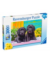 Παζλ Ravensburger 300 XXL κομμάτια - Χαριτωμένα σκυλάκια -1