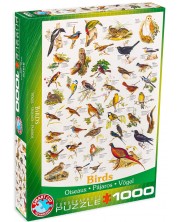 Παζλ Eurographics 1000 κομμάτια – Πουλιά στα λιβάδια και στους κήπους 
