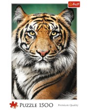 Παζλ Trefl 1500 κομμάτια -Πορτρέτο τίγρης -1