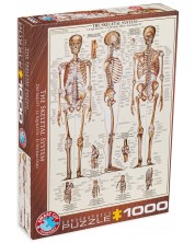 Παζλ Eurographics 1000 κομμάτια - Ο ανθρώπινος σκελετός -1