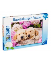 Παζλ Ravensburger από 300 κομμάτια - Σκυλάκια σε καλάθι