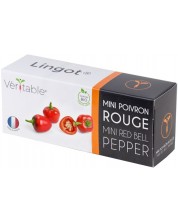 Σπόρια  Veritable - Lingot, Κόκκινα μίνι πιπεριά , μη ΓΤΟ -1