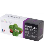 Σπόρια   Veritable - Lingot,Κόκκινες άγριες φράουλες, μη ΓΤΟ -1