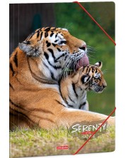 Φάκελος με λάστιχο Ars Una Serenity - A4, τίγρεις -1