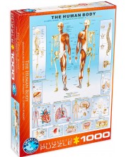 Παζλ Eurographics 1000 κομμάτια – Το ανθρώπινο σώμα  -1