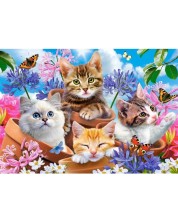 Παζλ Castorland από 500 κομμάτια - Χαριτωμένα γατάκια