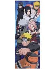 Αφίσα πόρτας ABYstyle Animation: Naruto Shippuden - Group