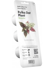 Σπόροι Click and Grow - Σημείο φυτό, 3 ανταλλακτικά -1