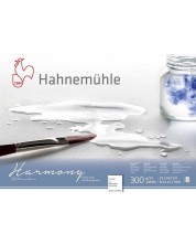 Βιβλίο σκίτσων Hahnemuhle Harmony - A4, χοντρό χαρτί, 12 φύλλα