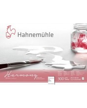 Βιβλίο σκίτσων Hahnemuhle Harmony - A3, χαρτί ψυχρής πίεσης, 12 φύλλα -1