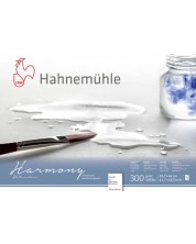 Βιβλίο σκίτσων Hahnemuhle Harmony - A3, χοντρό χαρτί, 12 φύλλα -1