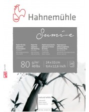 Βιβλίο σκίτσων  Hahnemuhle Sumi-E - 24 x 32 cm, 20 φύλλα -1