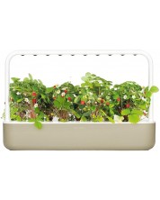 Smart γλάστρα Click and Grow - Smart Garden 9, 13 W, μπέζ -1