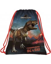 Αθλητική τσάντα Derform Dinosaur 17