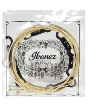 Χορδές ακουστικής κιθάρας Ibanez - IACS6C, 12-53, χρυσό  -1