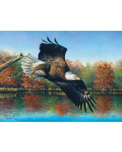 Παζλ SunsOut 1000 κομμάτια - Αετός πάνω από το νερό, Abraham Hunter