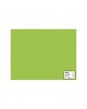 Χαρτόνι  APLI - Ανοιχτό πράσινο, 50 х 65 cm -1