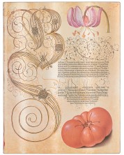 Σημειωματάριο  Paperblanks Lily & Tomato - 18 х 23 cm, 88 φύλλα