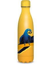 Θερμό μπουκάλι  Ars Una - Parrot, 500 ml