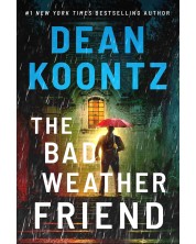 The Bad Weather Friend -1