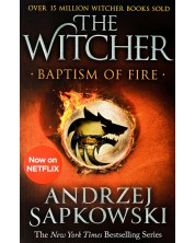 Baptism of Fire: Witcher 3