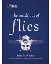 The Inside Out of Flies -1