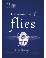 The Inside Out of Flies