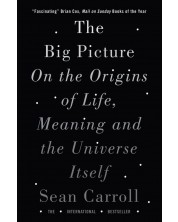 The Big Picture On the Origins of Life, Meaning, and the Universe Itself -1