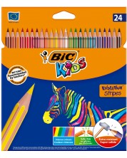 Χρωματιστά μολύβια BIC Kids - Evolution Stripes, 24 χρώματα -1