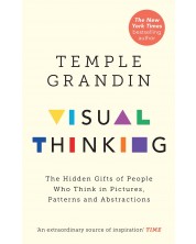 Visual Thinking -1