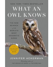 What an Owl Knows