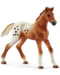 Σετ φιγούρων Schleich Horse Club - Για τουρνουά της Lisa - 5t