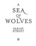 A Sea of Wolves - 2t