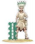 Ακρυλική φιγούρα ABYstyle Animation: Dr. Stone - Senku - 1t