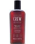 American Crew Σαμπουάν για γκρίζα μαλλιά, 250 ml - 1t