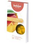 Αρωματικό κερί Bolsius True Scents - Μάνγκο, 6 τεμάχια - 1t
