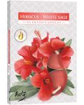 Αρωματικά κεριά Bispol Aura - Hibiscus-White Sage, 6 τεμάχια - 1t