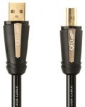 Καλώδιο QED - Performance - Hi Ref, USB -A/USB-B M/M, 1 m, μαύρο - 4t