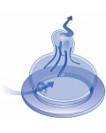 Γυάλινο μπιμπερό  NIP - Flow S, 0 μηνών +, 120 ml, Girl - 3t