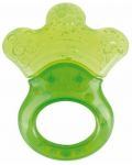 Βρεφική νεροχτένα με κουδουνίστρα Canpol - Little paw, πράσινο - 1t