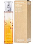 Caudalie Αρωματικό νερό Soleil des Vignes, 50 ml - 2t